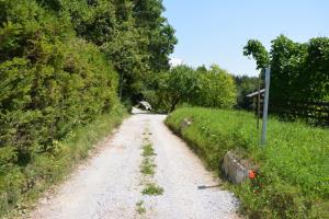 Bergant - Teraž (10)